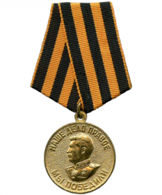 Медаль «За победу над Германией в Великой Отечественной войне 1941—1945 гг.»