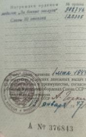 Медаль за боевые заслуги,Орден славы 2 и 3 степени,Взятие Берлина,За победу над Германией 1941-1945