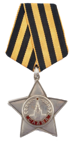 Орден славы III степени