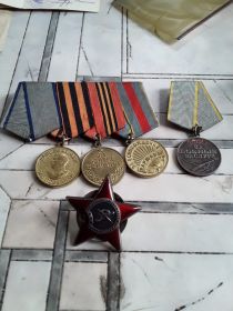 "ЗА ПОБЕДУ НАД ГЕРМАНИЕЙ"  "ЗА ВЗЯТИЕ БЕРЛИНА"  " ЗА ОСВОБОЖДЕНИЕ ВАРШАВЫ"  "ЗА ОТВАГУ"   "XXX ЛЕТ СОВЕТСКОЙ АРМИИ И ФЛОТА"