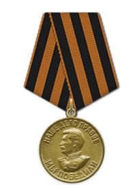 Медаль «За победу над Германией в Великой Отечественной войне 1941–1945 гг.»