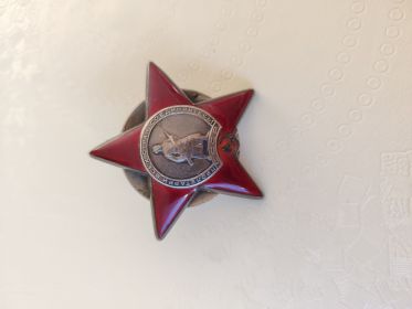 Орден Красной Звезды №2816921