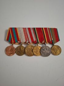 Медаль "За доблестный труд в Великой Отечественной  войне 1941-1945гг",Медаль в честь 30-летия и 40-летия Великой Победы, медаль "Ветеран труда", медаль в честь 15-летия и 20-летия