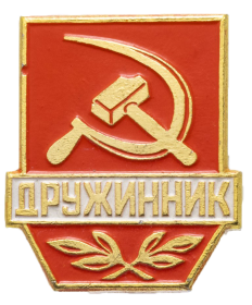 Значок «Дружинник» СССР