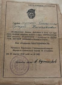 Благодарность за прорыв сильной обороны немцев в горах Вэртэшхедьшаг, овладение городами Естергом, Несмей, Фельше-Галла и Тата