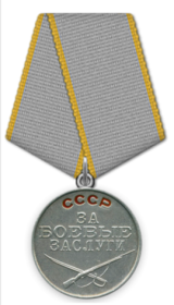 Медаль «За боевые заслуги»