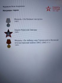 Медаль за боевые заслуги 1943г., Орден Красной Звезды 1945г., Медаль "За победу над Германией в Великой Отечественной войне 1941-1945гг."