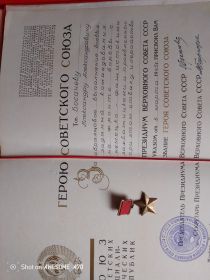 Звезда героя советского союза