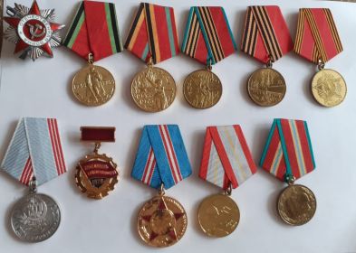 Орден Великой Отечественной Войны  второй степени, юбилейные медали участника войны.