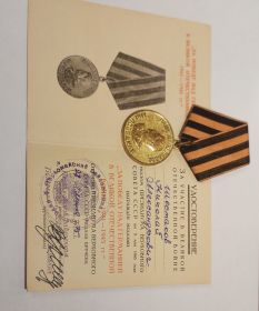 МЕДАЛЬ ЗА ПОБЕДУ НАД ГЕРМАНИЕЙ В ВЕЛИКОЙ ОТЕЧЕСТВЕННОЙ ВОЙНЕ 1941-1945гг.