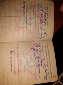 Медаль «За победу над Германией»