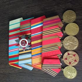Орден Красной звёзды, медаль за освобождение Ленинграда, медаль за отвагу