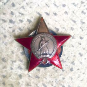 награжден  Орденом красной звезды