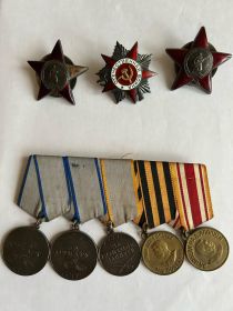 Медаль «За отвагу» (2) (2) Медаль «За взятие Кенигсберга» (2) Медаль «За победу над Германией в Великой Отечественной войне 1941–1945 гг.» (2) Орден Отечественной войны II степени (2) Орден К