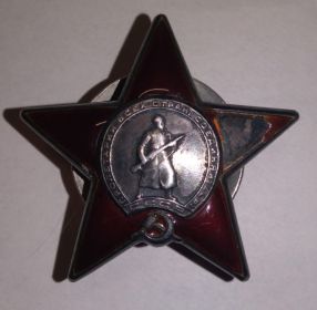 Орден “Красная звезда”, (Номер ордена №846807), за отвагу и мужество.