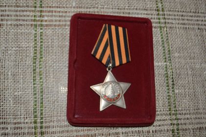 Орден Славы 3 степени