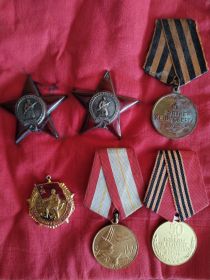 Орден Красной Звезды от 8.12.1944, орден Красной Звезды от 25.05.1945, медаль за освобождение Кенинсберга, медаль " За Победу над Германией" 09.05.1945 г