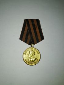 медаль «За победу над Германией в Великой Отечественной войне 1941-1945 гг.»