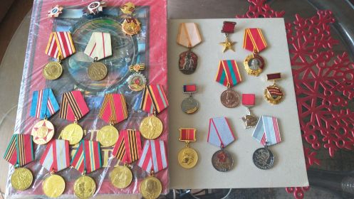 За оборону Сталинграда, медаль Жукова, за победу над Японией.