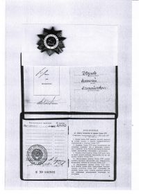 Орден Великой Отечественной войны II степени, медаль за победу над Германией.