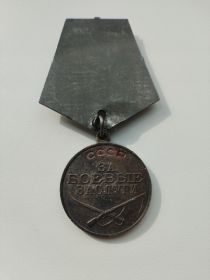 Медаль “За Боевые Заслуги”