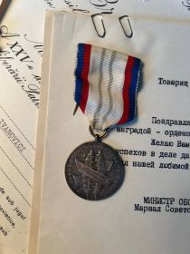За укрепление дружбы по оружию II степени (Чехословакия)