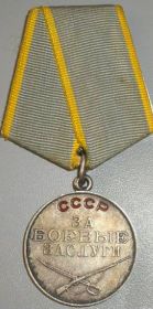 Медаль за Боевые Заслуги