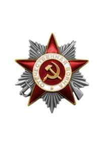 Орден отечественной войны второй степени, медаль "За победу над Германией в Великой Отечественной войне 1941-1945 гг.", Орден "Знак Почёта"