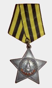 Орден Славы 3 степени
