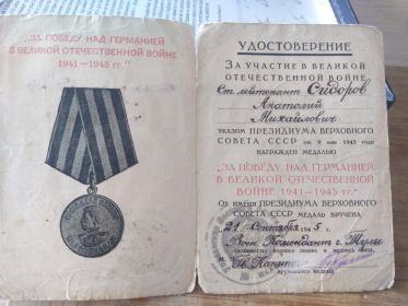 Медаль за Победу над Германией в Великой Отечественной Войне 1941-1945 гг.