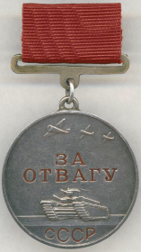 Правительственная награда, медаль ЗА ОТВАГУ