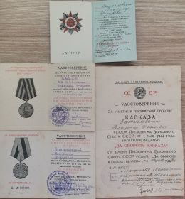 "За боевые заслуги", "За оборону Кавказа", "За Победу над Германией", орден Отечественной войны  II степени.