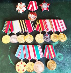 Орден Красной Звезды; Орден Красного Знамени; Орден Отечественной войны II степени Медаль «За боевые заслуги» Медаль «За победу над Германией в Великой Отечественной войне;