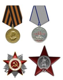 Медаль "за отвагу", орден Красной Звезды, орден Отечественной войны II степени, медаль "за победу над Германией в Великой Отечественной войне"