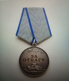 Медали "За отвагу", «За взятие Берлина», «За освобождение Праги», «За победу над Германией в Великой Отечественной войне», 9 благодарностей от Верховного Главнокомандующего И.В. Сталина