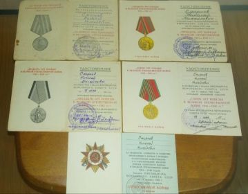 "За боевые заслуги " , " За победу над Германией " , орден " Отечественная война " .