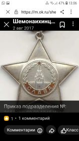 Орден Славы 3 степени
