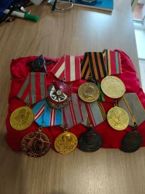 медаль "За боевые заслуги", медаль "За Победу над Германией", "30-лет СА и Флота", "40 лет ВС СССР"