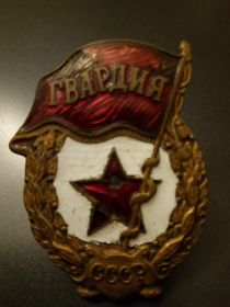 Нагрудный знак Гвардия
