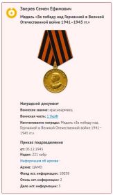 Медаль «За победу над Германией в Великой Отечественной войне 1941–1945 гг.»