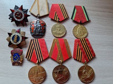 Награждён: Орденом ВОВ 2-й степени и медалями «За Боевые Заслуги», «За победу над Германией», «XXX лет СА и Флота», «За Боевые Заслуги», «За выслугу лет». В мирное время награждён медалью «Жу