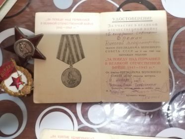 За победу над Германией в Великой Отечественной войне 1941-1945 гг
