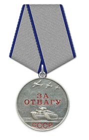 Медаль «За отвагу» (2);