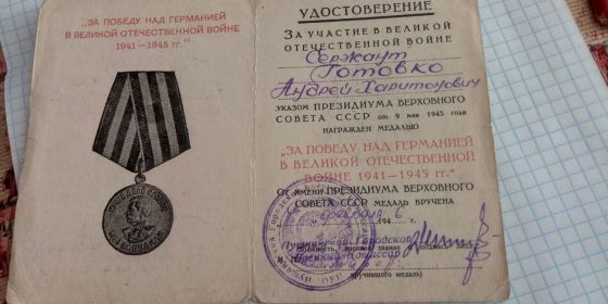 Медаль за Победу над Германией в Великой Отечественной Войне 1941-1945 гг.