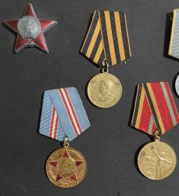 Орден «Красной звезды», двумя медалями «За боевые заслуги», «За Оборону Москвы», «За Оборону Сталинграда», «За Победу над Германией», «40 лет Вооруженных сил», «20 лет Безупречной службы».