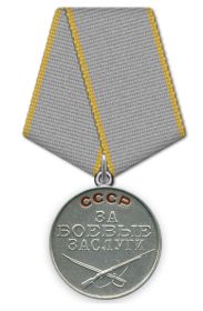 Медаль «За боевые заслуги»;