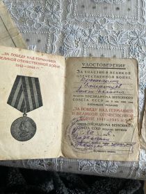 За участие в великой отечественной войне, за взятие Праги