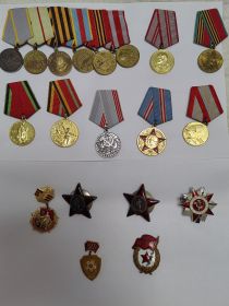 За боевые заслуги, за оборону Сталинграда, за победу над Германией, за освобождение Варшавы, за взятие Берлина,