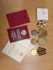 «За оборону Ленинграда» 1942 г., «За боевые заслуги» 1944 г., «За победу над Германией в Великой Отечественной войне 1941-1945 г.г.» 1945 г., Орден Отечественной войны I степени, 1987 г.