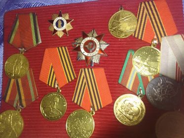 Медаль Жукова, Орден Великой Отечественной Войны
